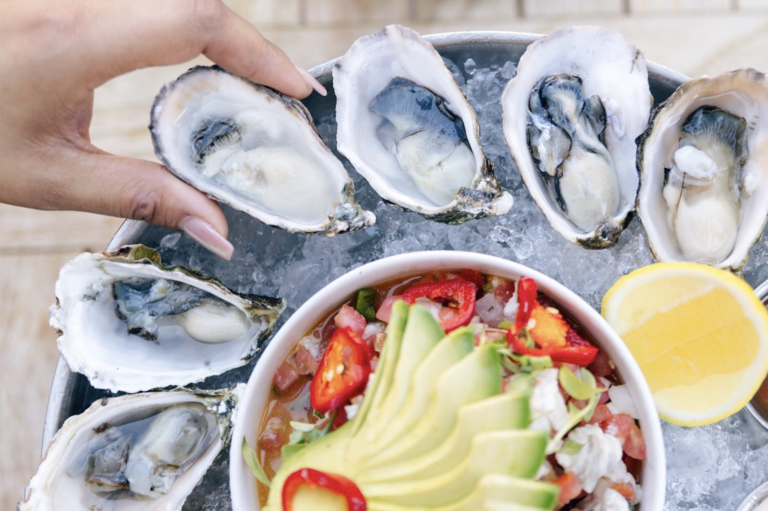 services for advisors